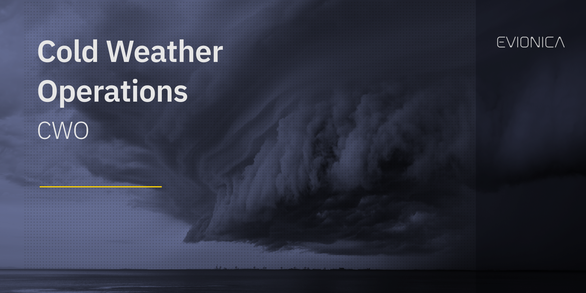 Evionica — Cold Weather Operations (CWO) E-Learning